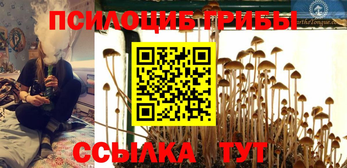 Ханты-Мансийск  Галлюциногенные грибы прущие грибы  Вход с VPN 